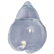 Perle poire - Verre transparent - Grand modèle