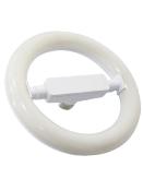 Ampoule LED en forme de cercle - Culot E27 - 20W - 3000K