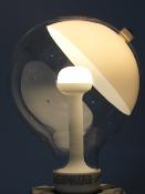 Ampoule LED culot E27 forme globe avec parabole blanche - Grand modèle