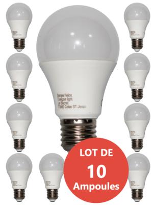 LOT DE 10 Ampoules LED culot E27 lumière noire